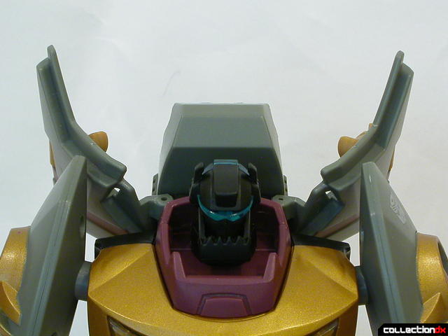 Dinobot Grimlock- robot mode (back panels open wide per instructions)