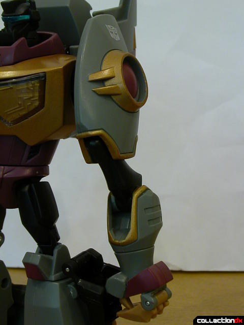 Dinobot Grimlock- robot mode (left arm detail)