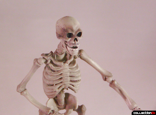 skeletonglare