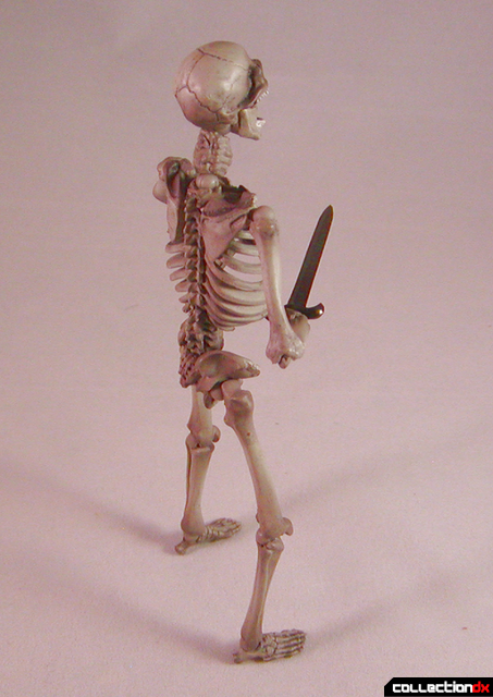 skeletonside