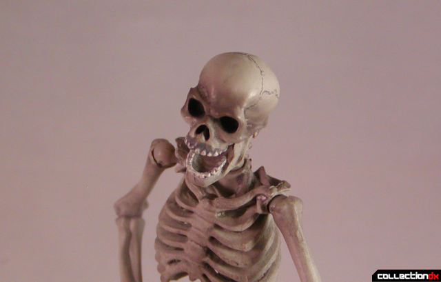 skeletonhead