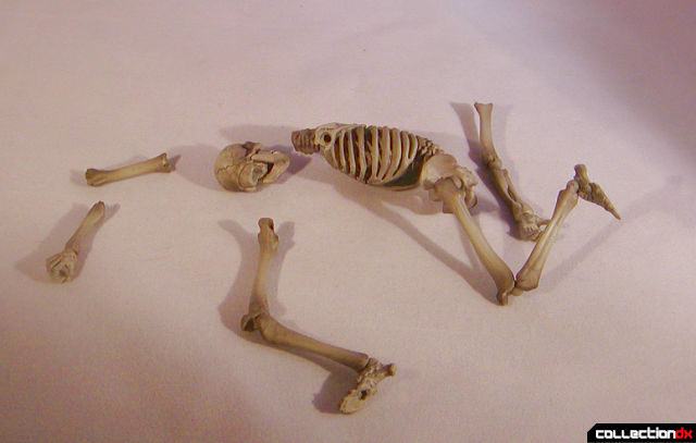 skeletonpileofbones